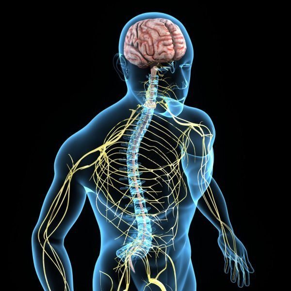 Autonomic Nervous System Disorders